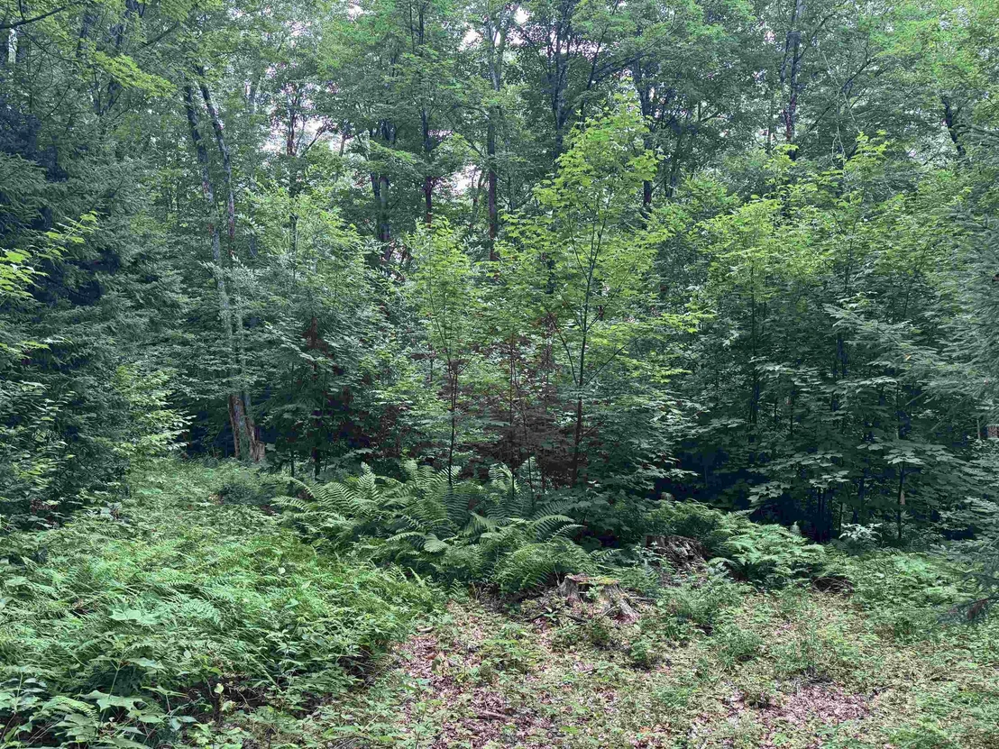 Photo of 185 Valley View