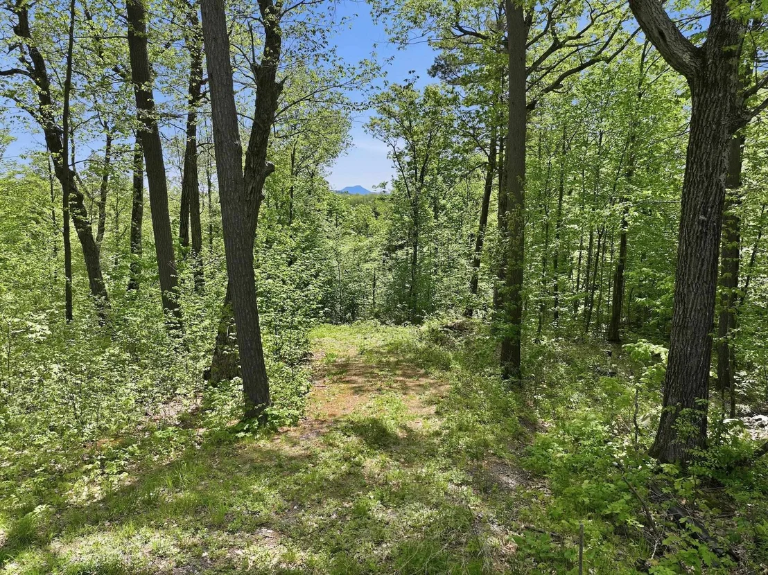 Photo of 189 Shagbark