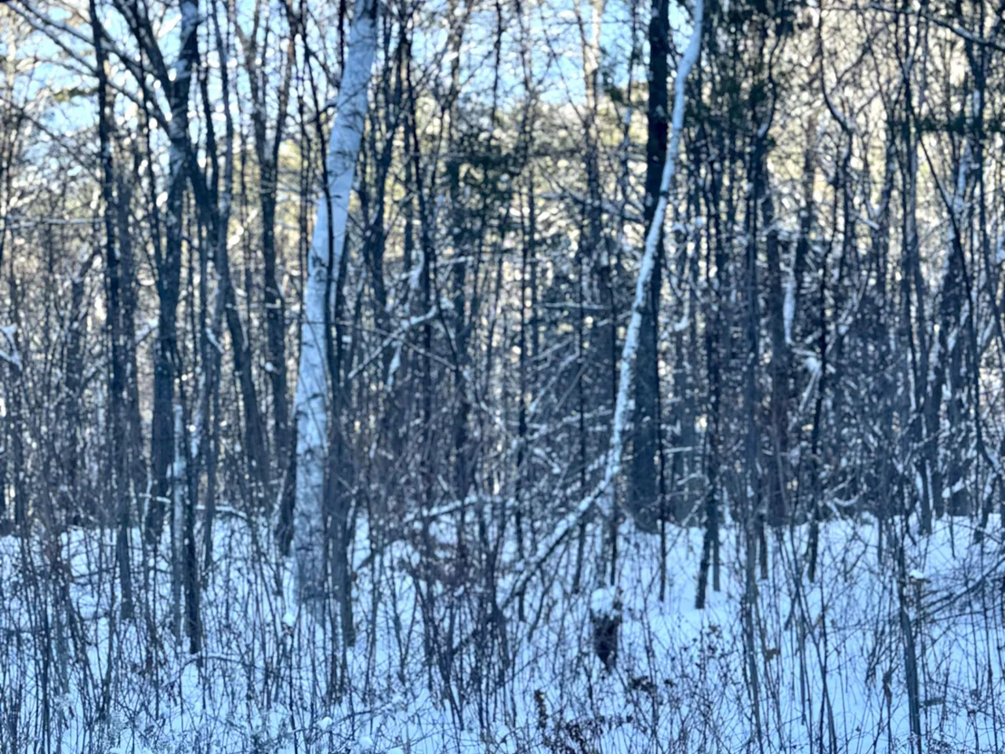 Photo of Unit 12 at US Route 302