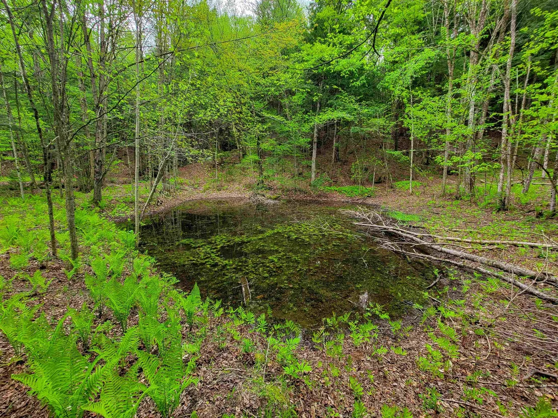 Photo of 167 High Meadow