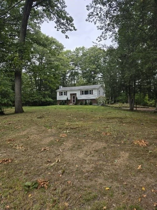 Photo of 9 Epping Woods