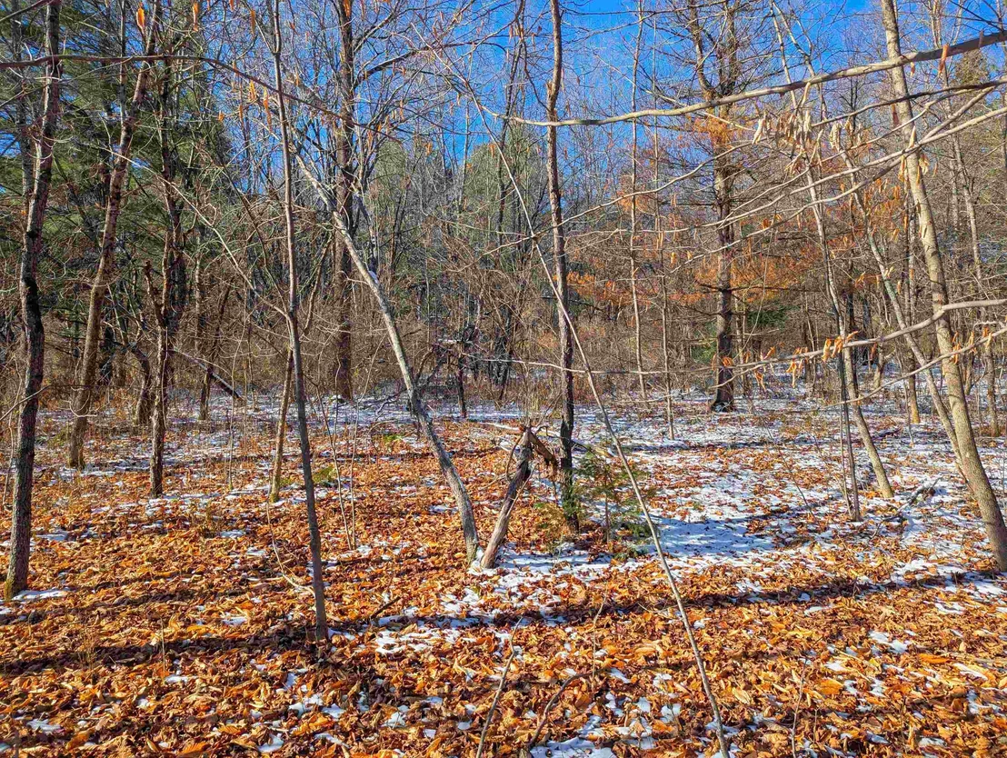 Photo of 00 Pudding Hill