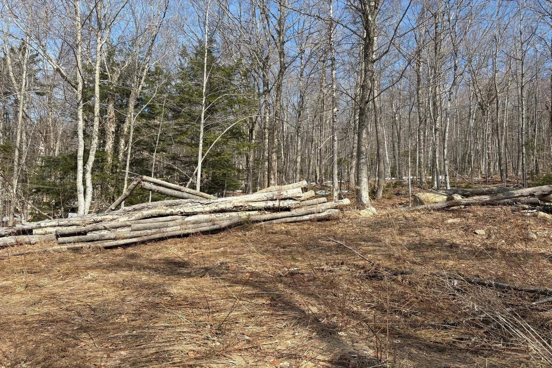 Photo of 360 Dorman