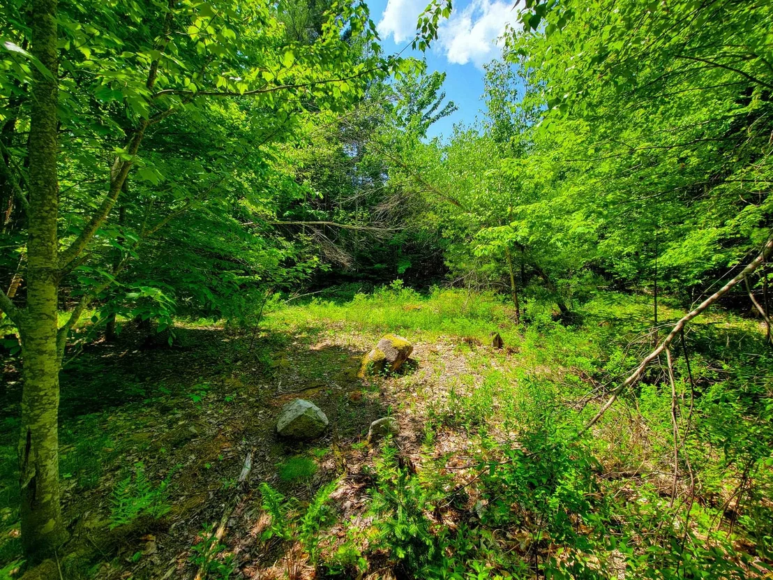 Photo of 280 Gorham Hill
