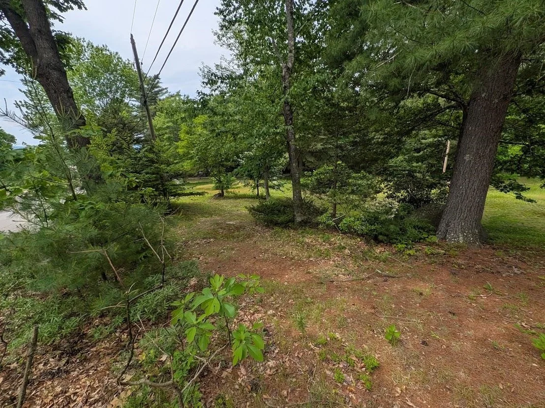 Photo of 258 Bolton