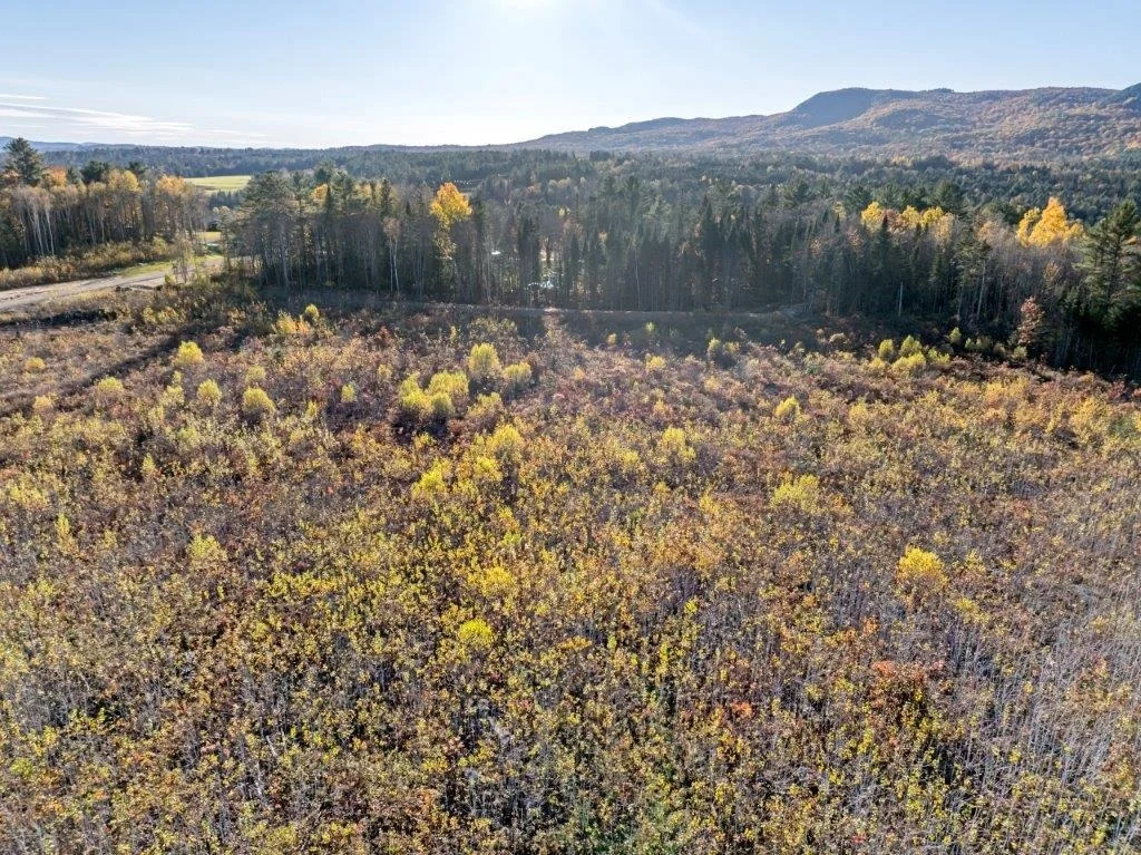 Photo of Lot 3 McIntyre
