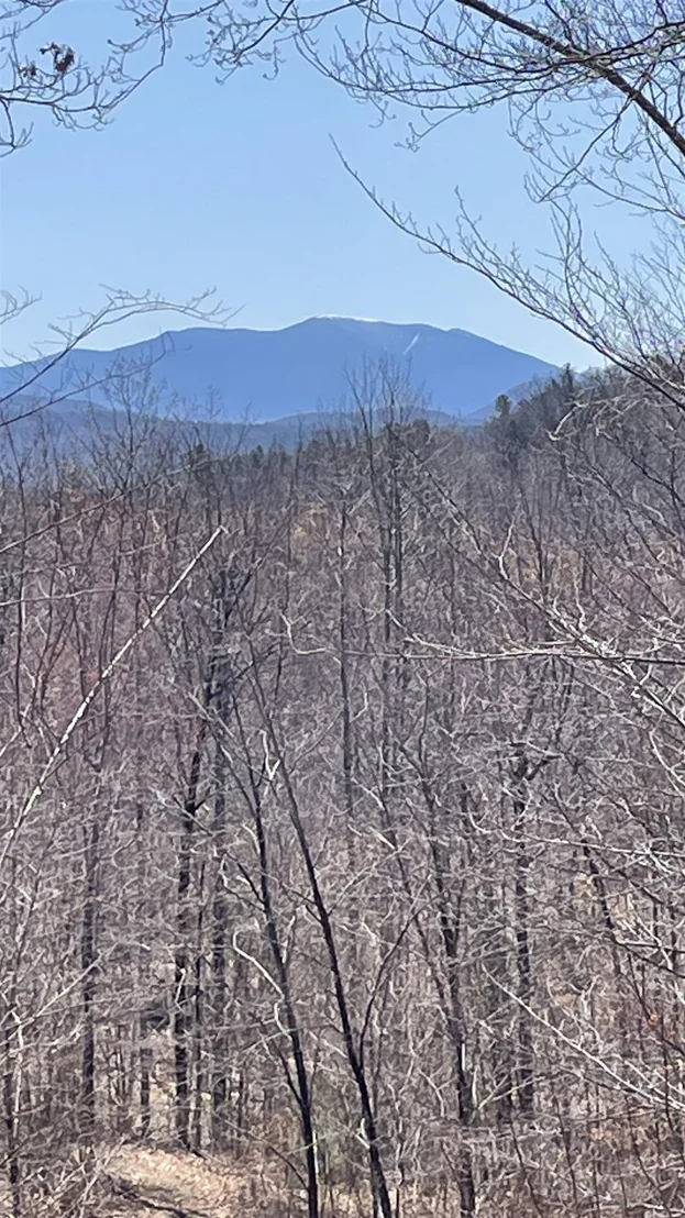 Photo of Unit LOT3 at 0 Oregon