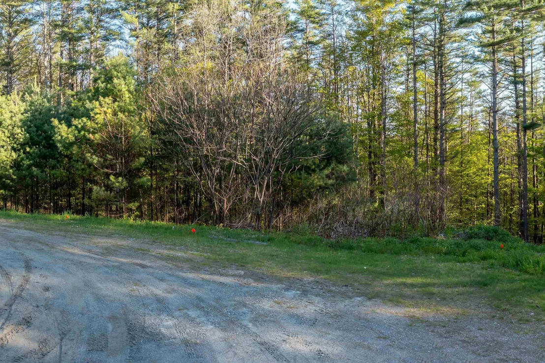 Photo of Lot 30 Cedar