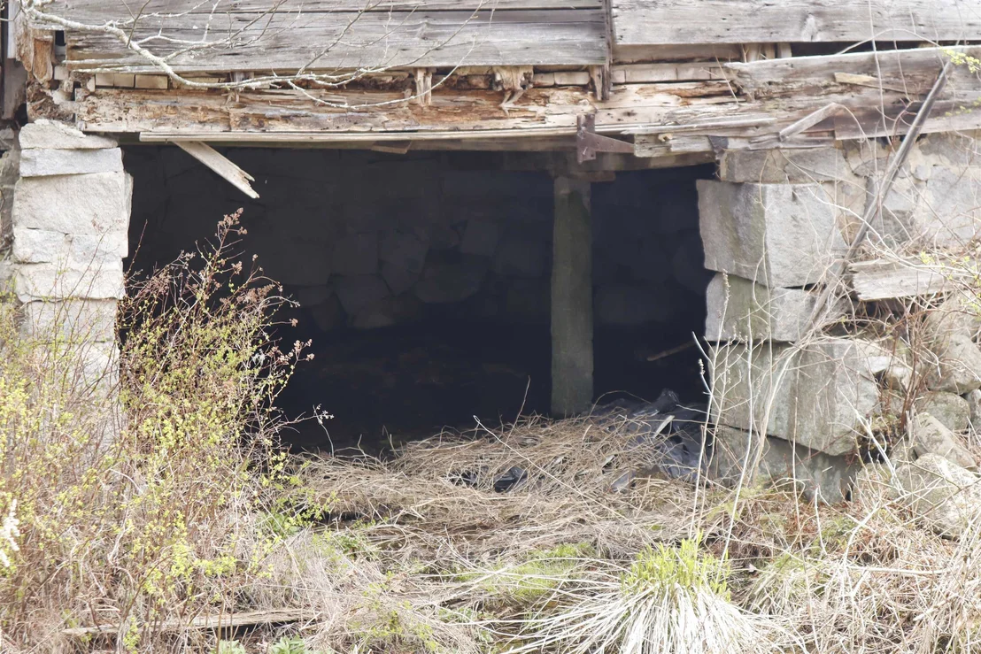 Photo of 21 Jaffrey