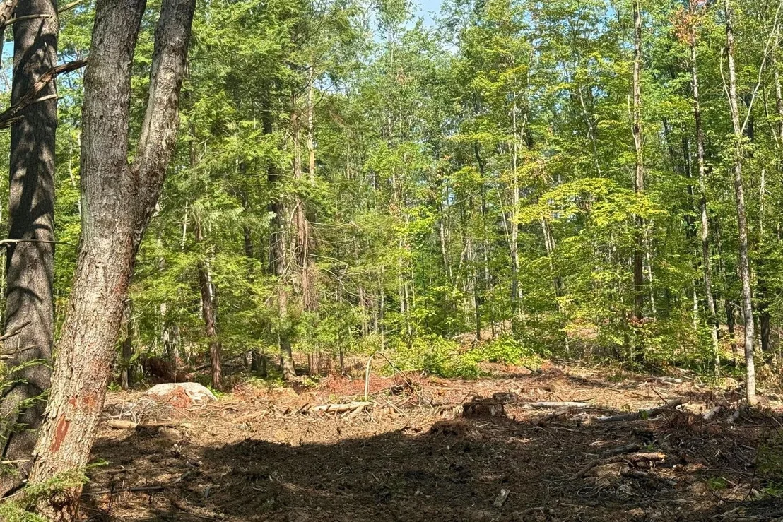 Photo of Lot 9-3 Roxbury