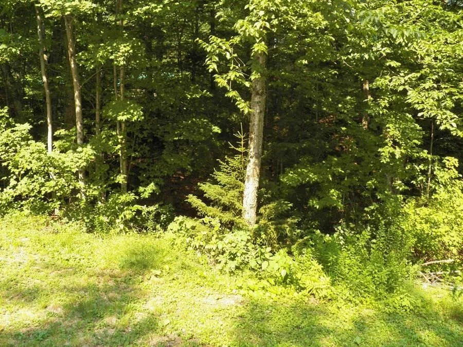 Photo of 116 Beaver Lake