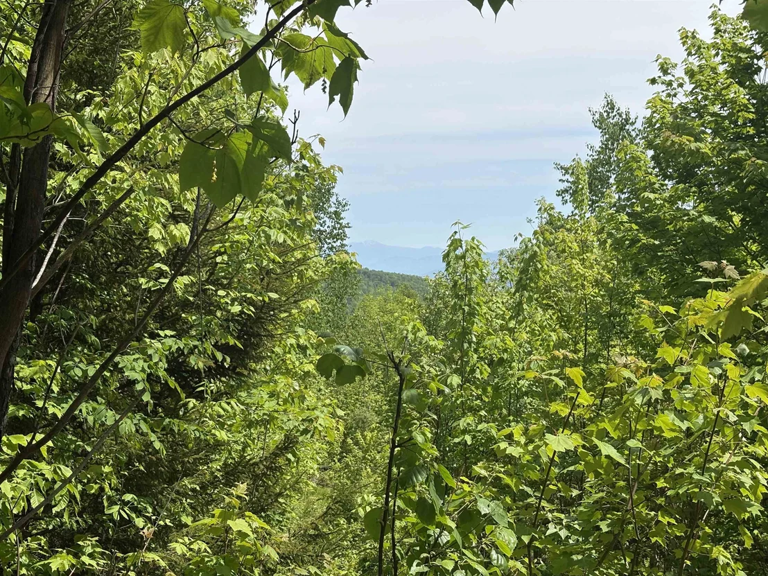 Photo of 0 Old Pond Hill