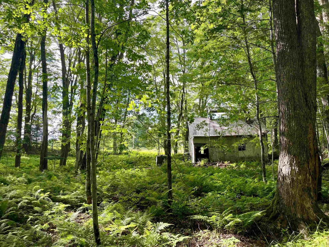 Photo of 00 Old Farm