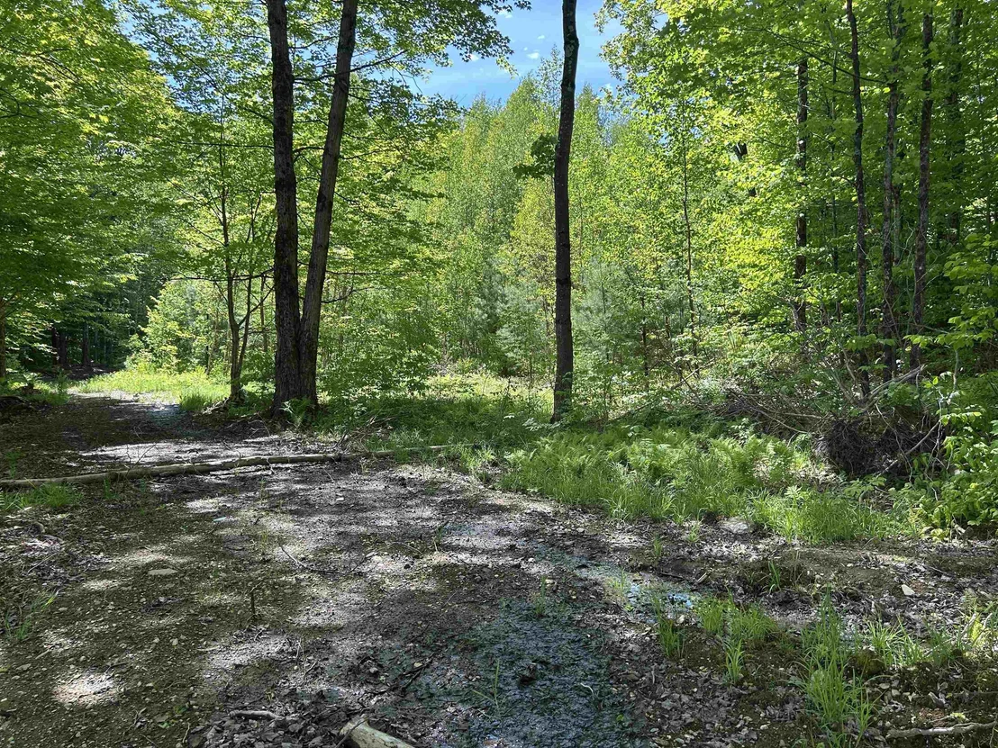 Photo of Lot 2 Pion