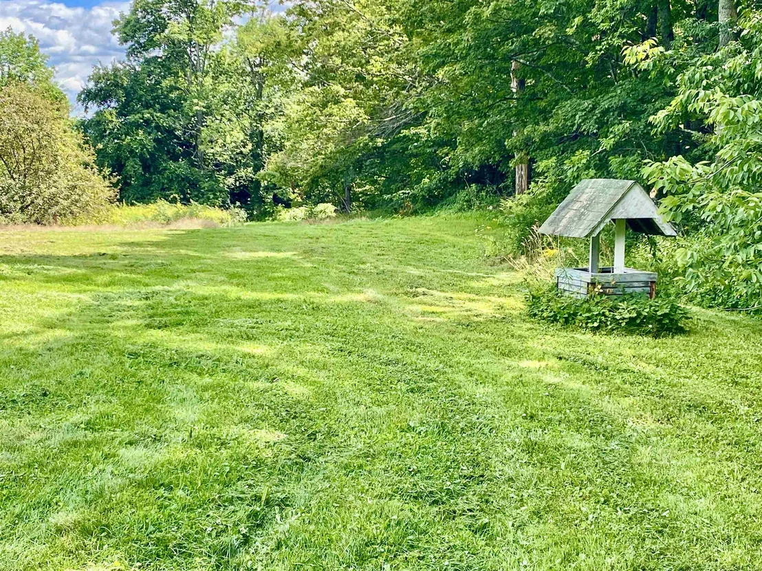Photo of 90 Limey