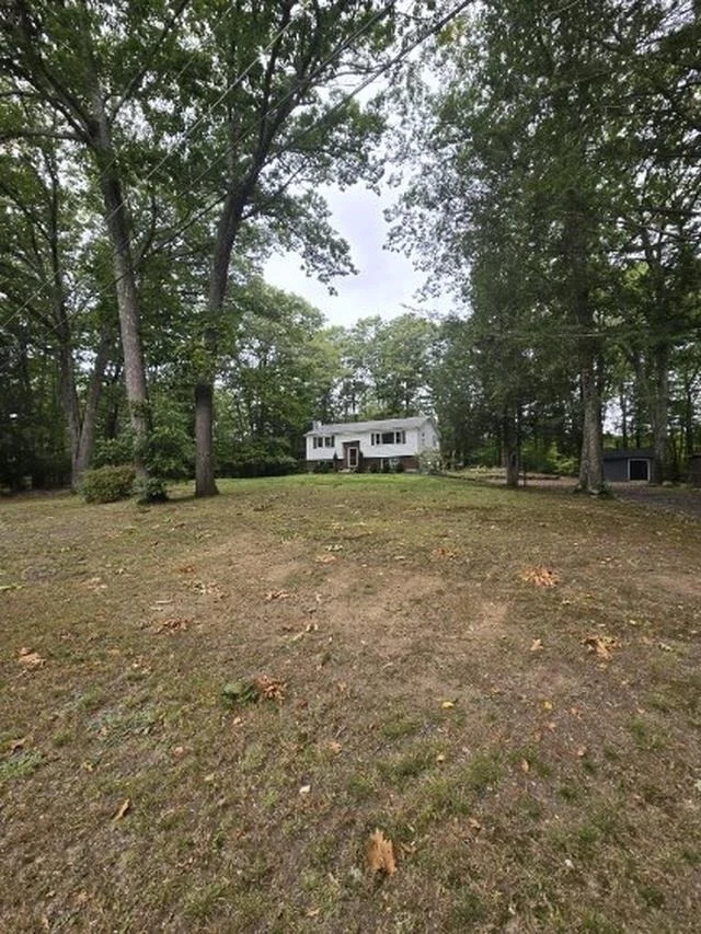 Photo of 9 Epping Woods