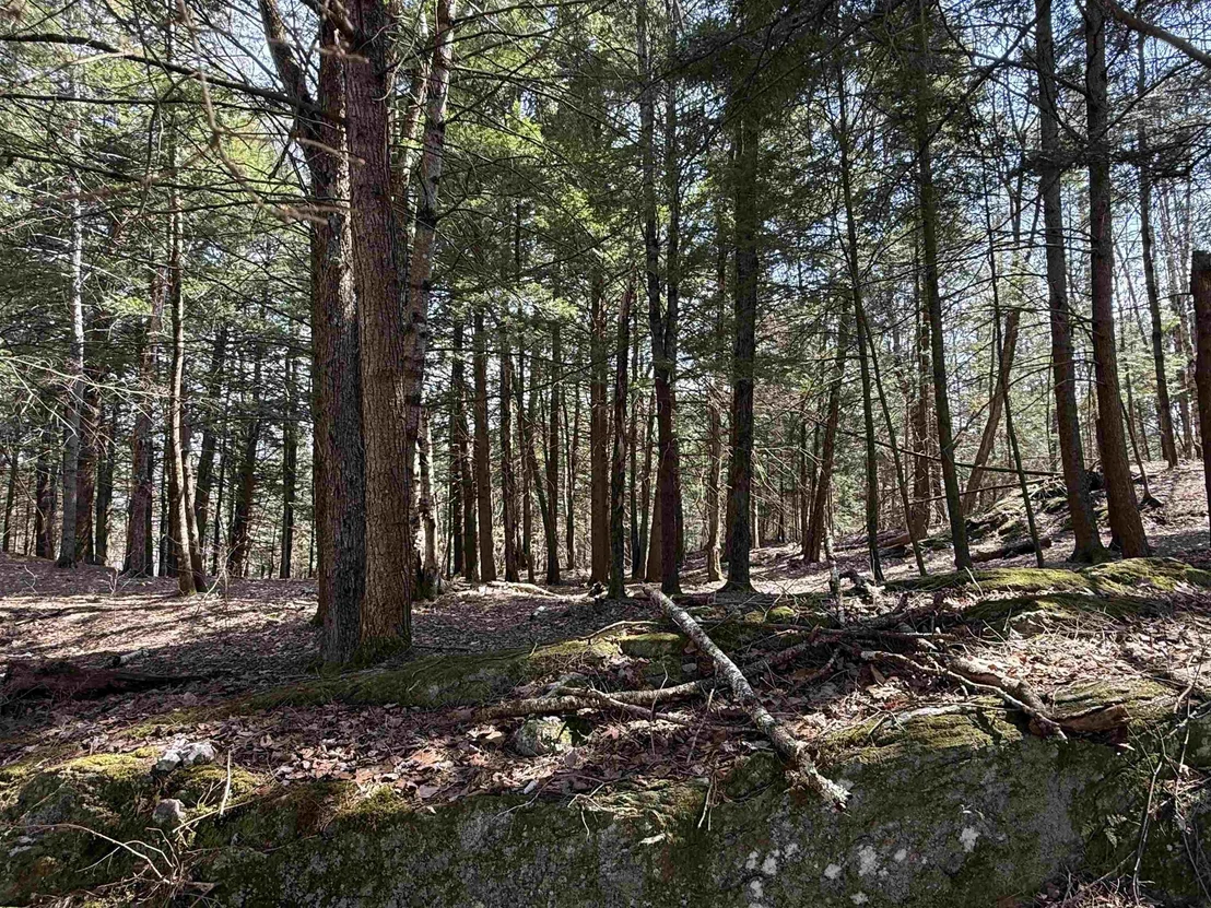 Photo of 74 Dutton District