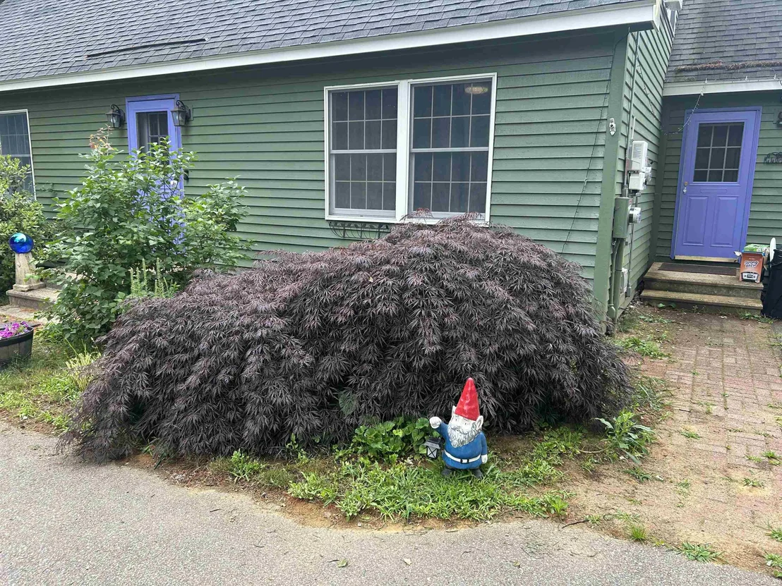 Photo of 104 Ridgewood