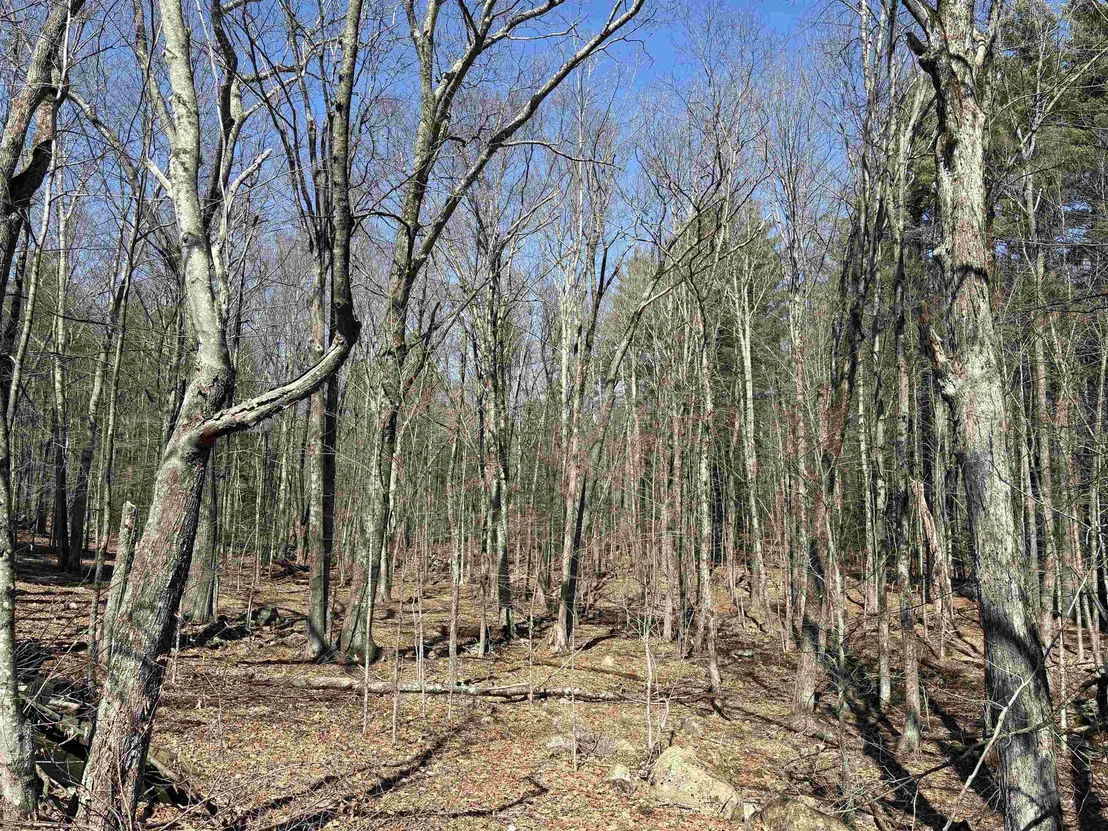Photo of 79-1 Currier
