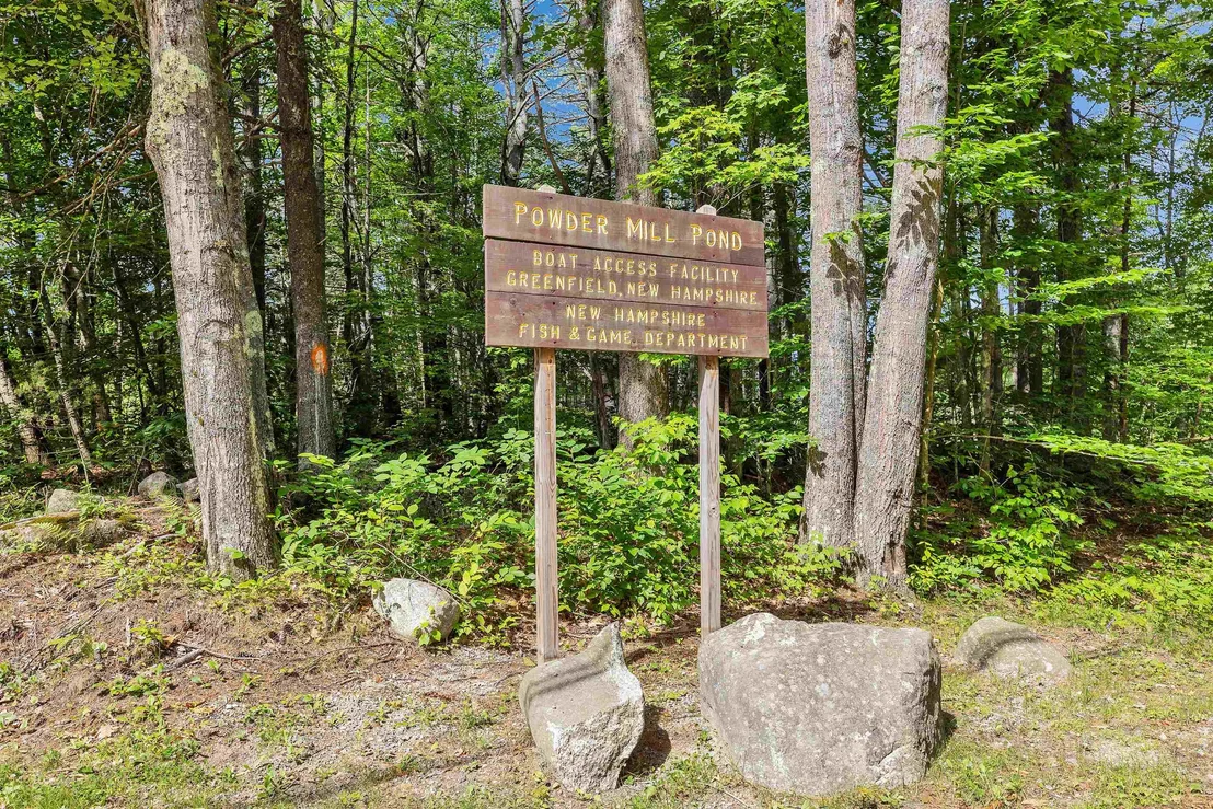 Photo of 261 Forest