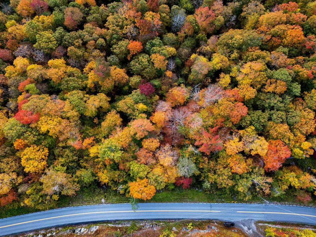 Photo of 0 East Mountain