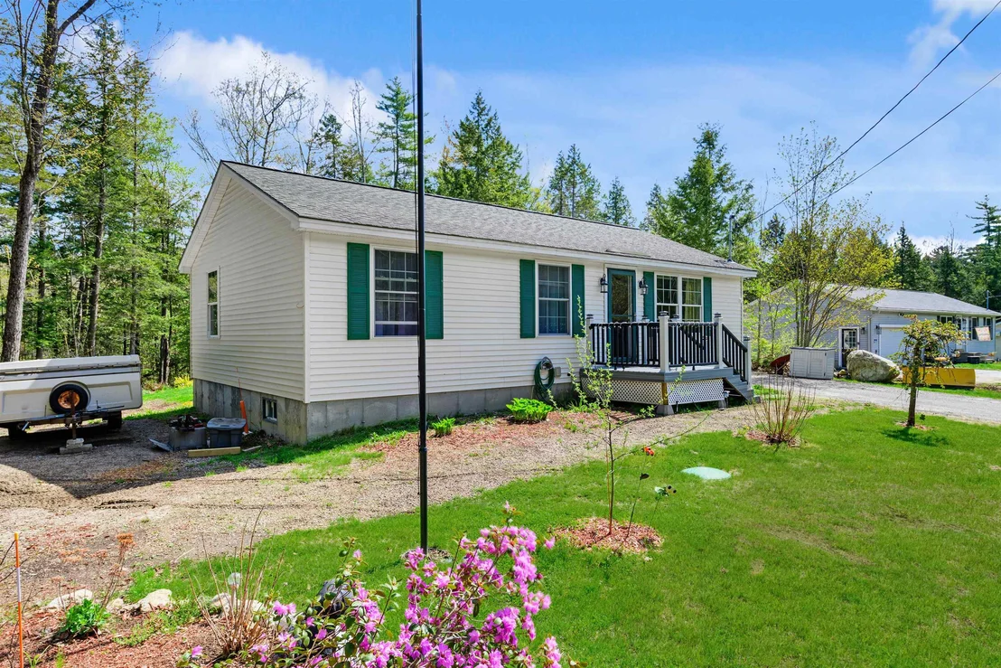 Photo of 26 Birch Tree