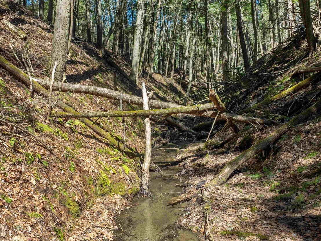 Photo of 00 Morrill Bend