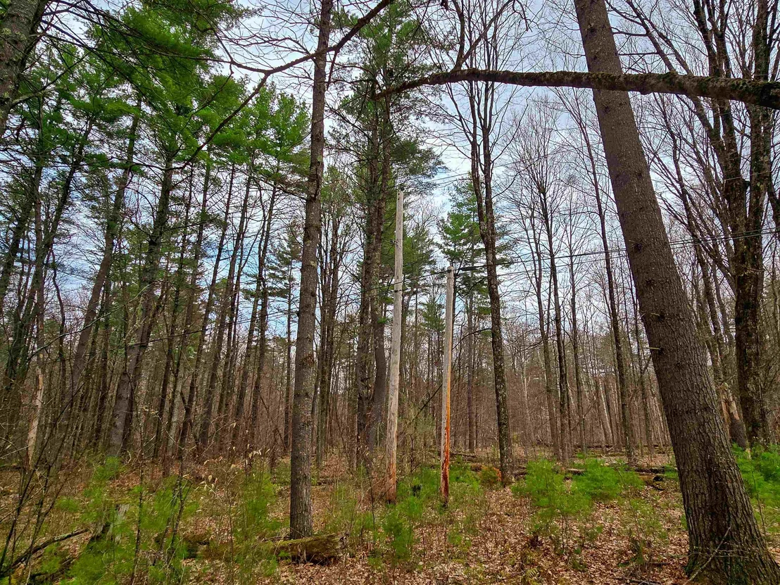 Photo of 765 Camp