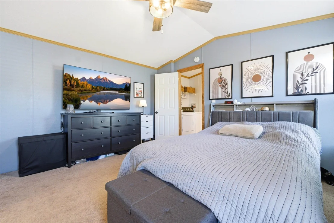 Photo of 23 Spruce