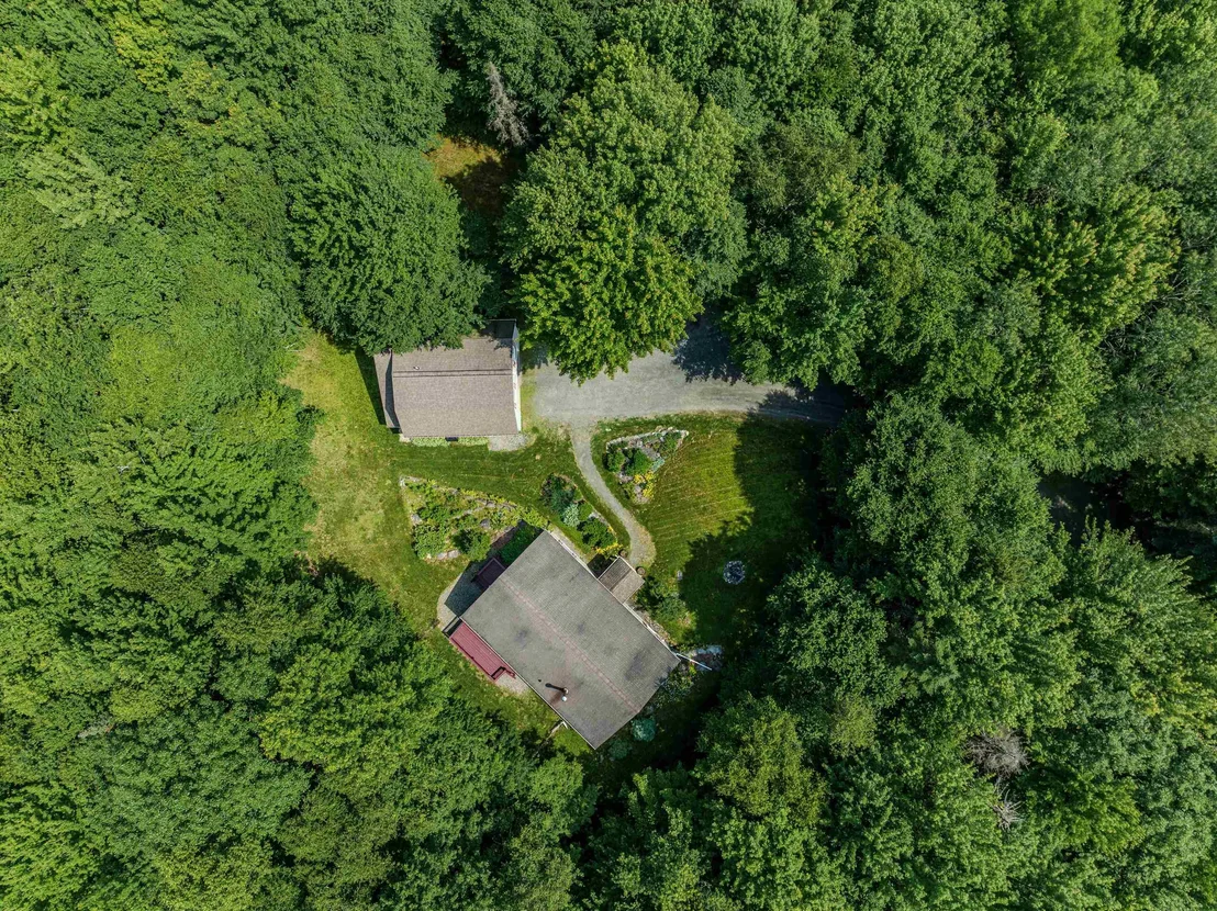 Photo of 61 Forest