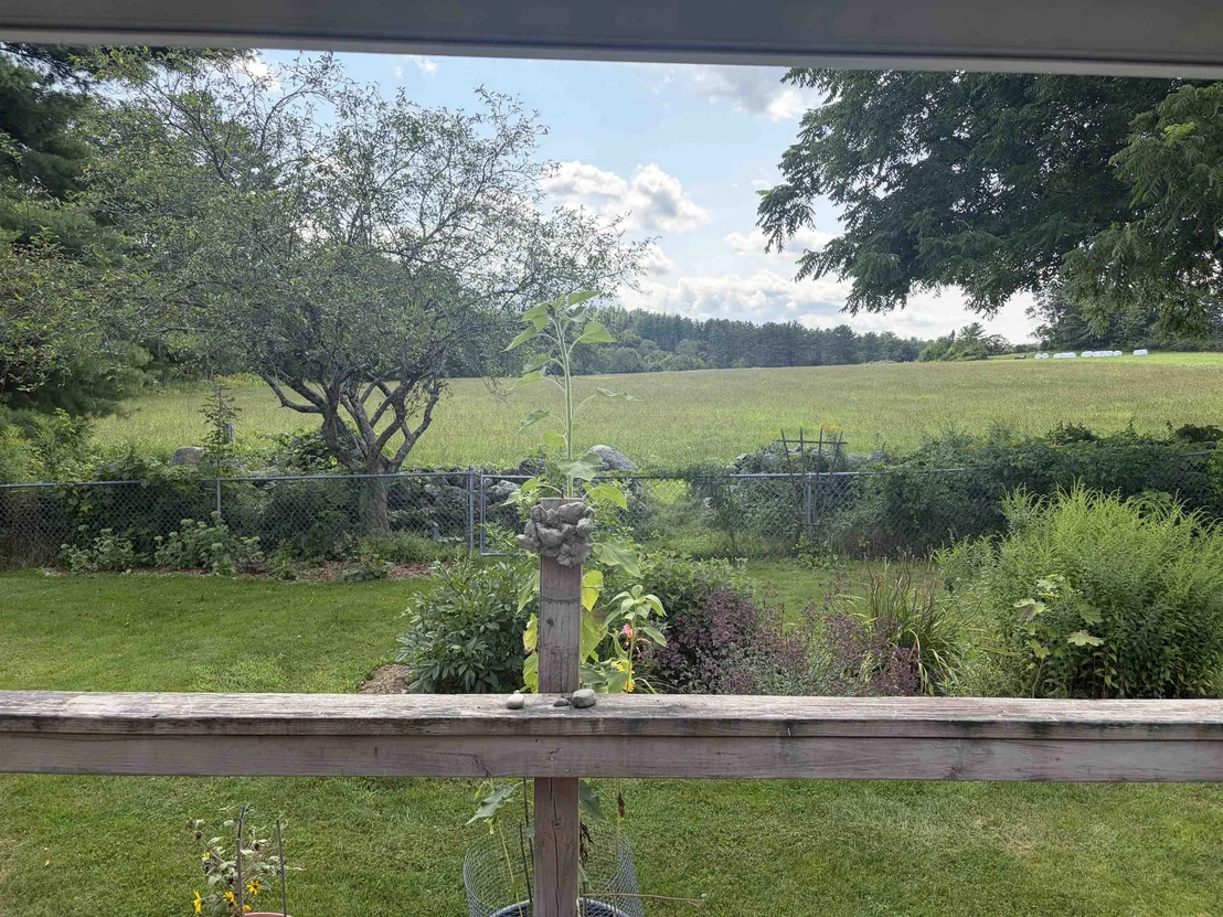 Photo of 116 Green Meadow