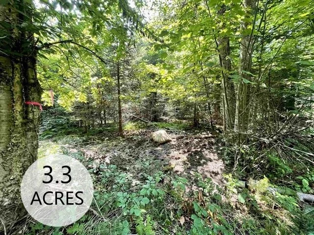 Photo of 00 Peene Hill
