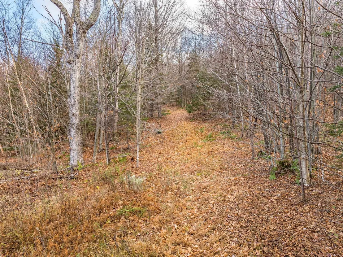 Photo of 706 VT Route 100