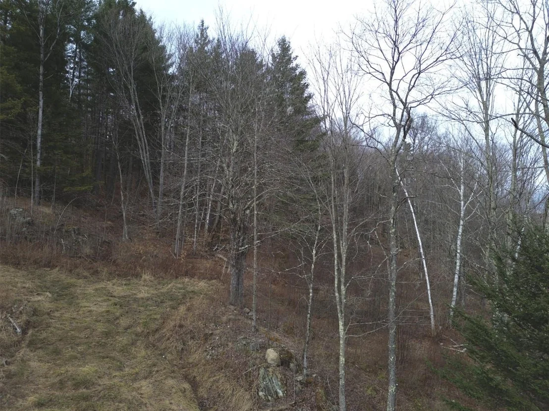 Photo of Unit 3 at 00 Bent Birch