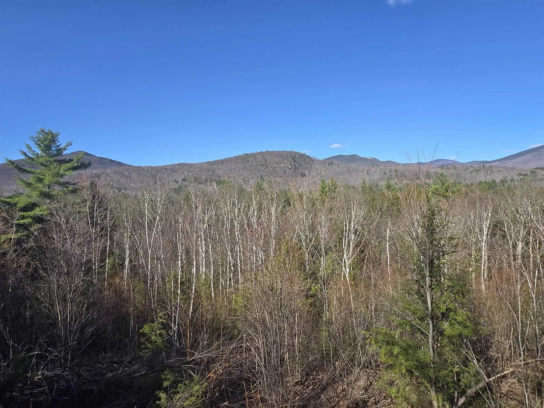 Photo of Unit LOT165C5 at 00 Green Hill