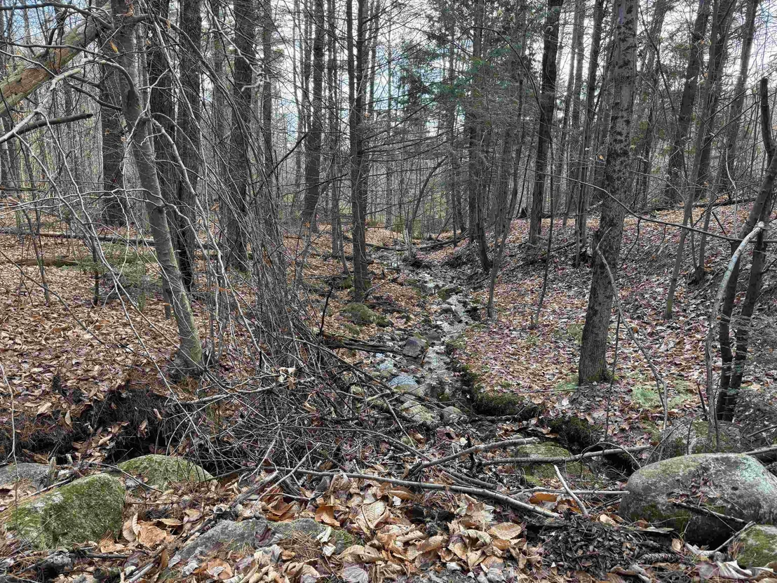 Photo of 190 Circuit