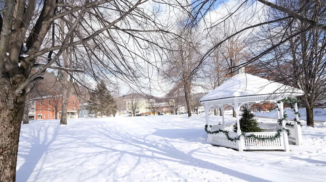 Photo of 312 Tierney