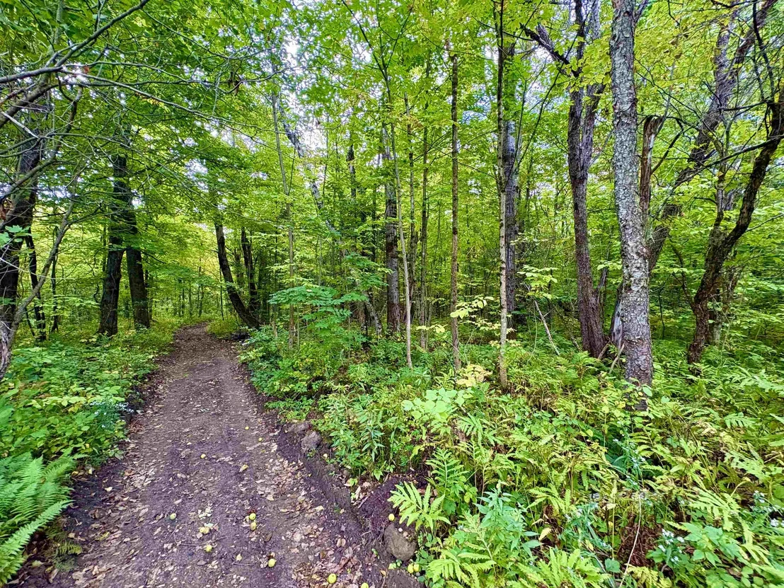 Photo of 0 Partridge Hollow