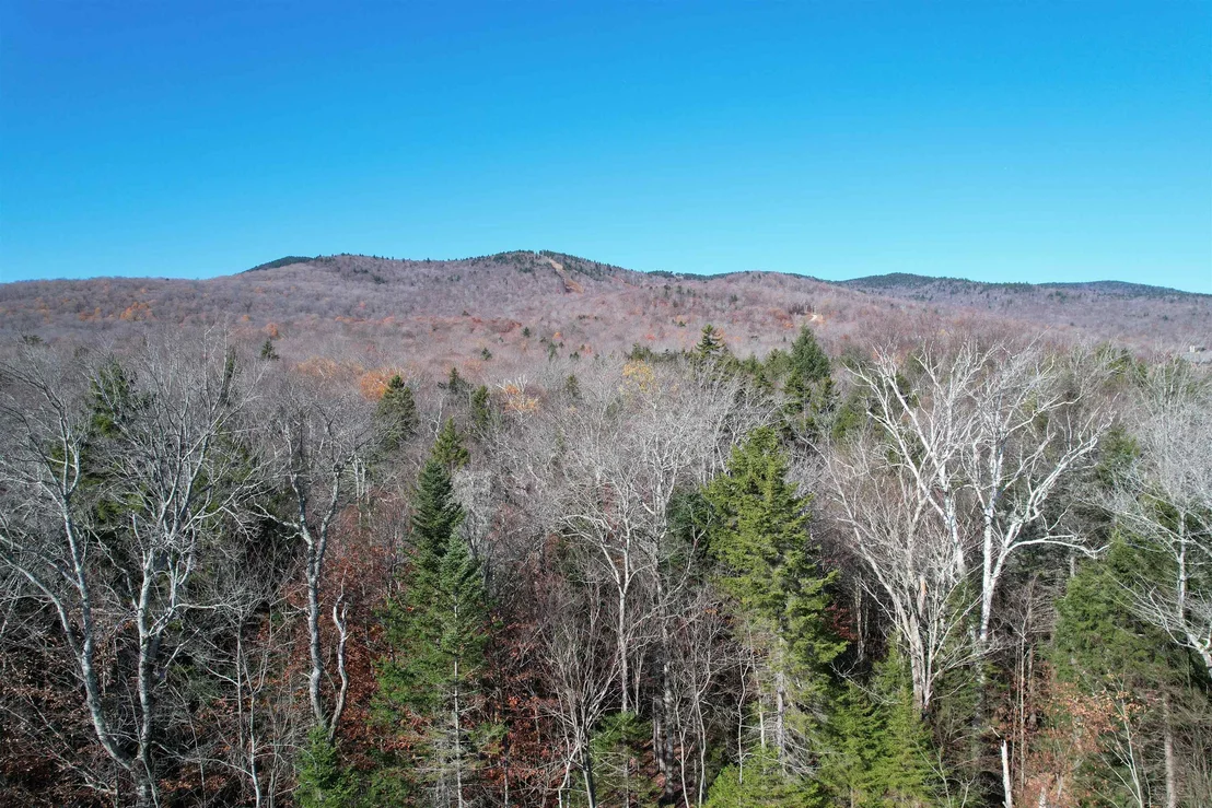 Photo of 87 Mirror Lake