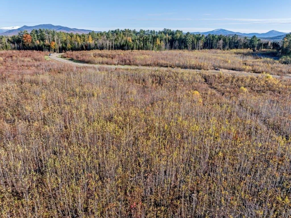 Photo of Lot 4 McIntyre