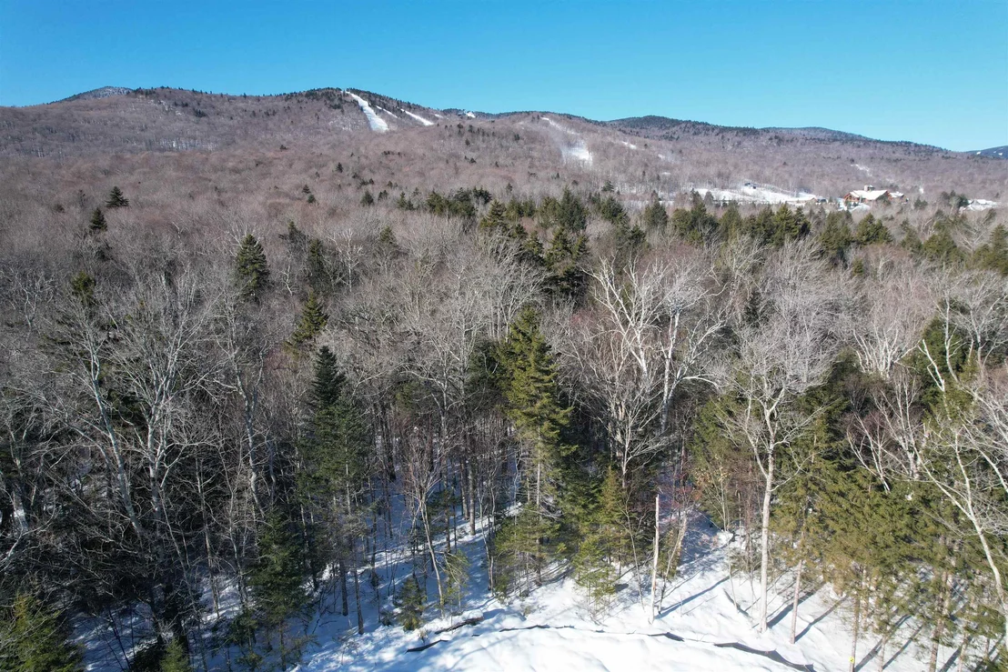 Photo of 81 Mirror Lake