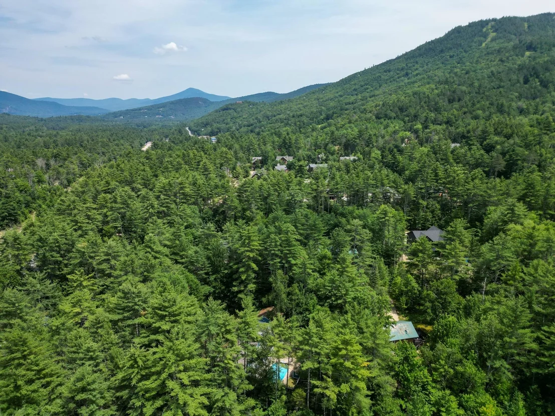 Photo of 12 Tall Woods
