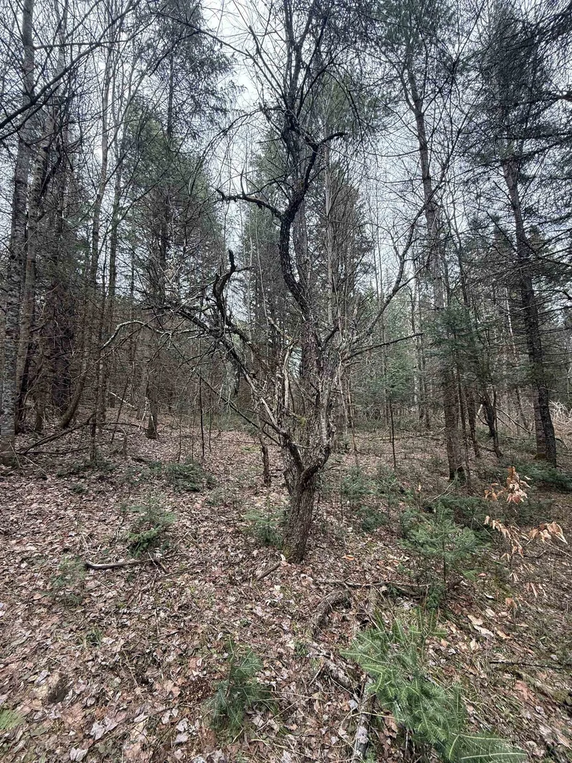 Photo of 00 Wheelock
