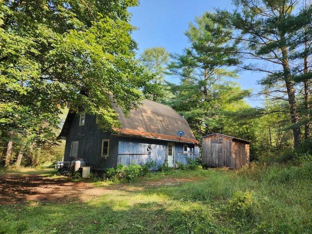 Photo of 24 Pine