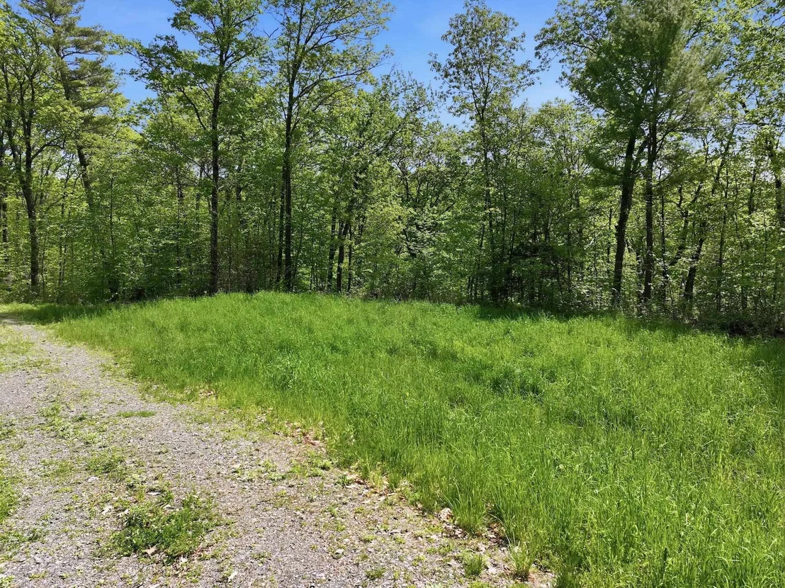 Photo of 189 Shagbark
