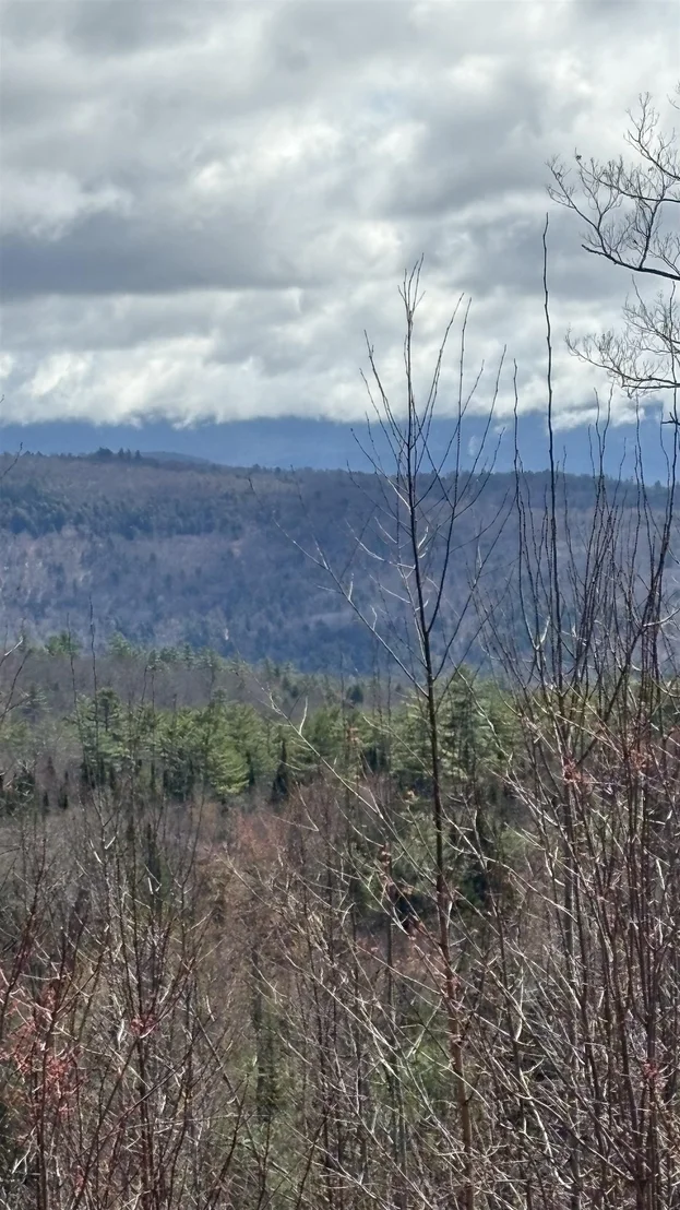 Photo of Unit LOT3 at 0 Oregon