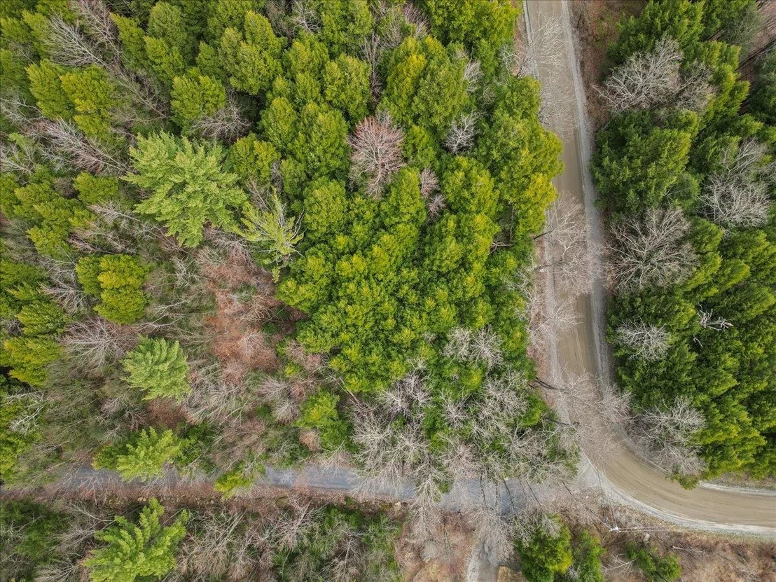 Photo of Lots 2 & 3 Hemlock