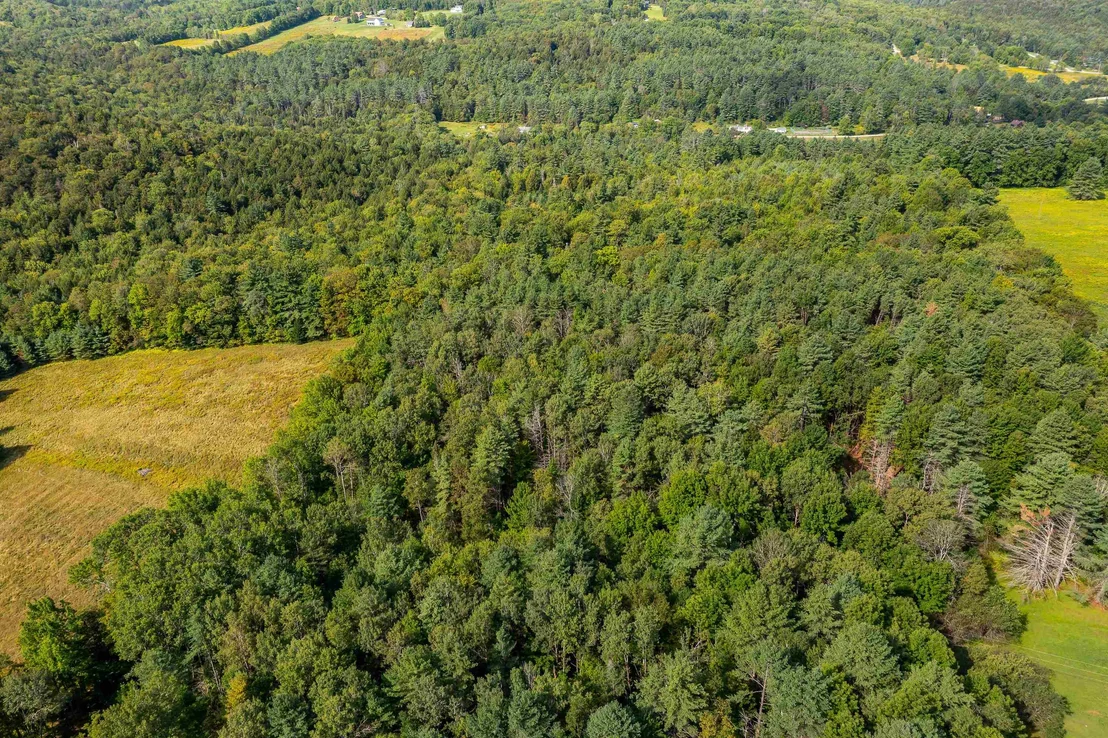 Photo of Lot #4 Meadow
