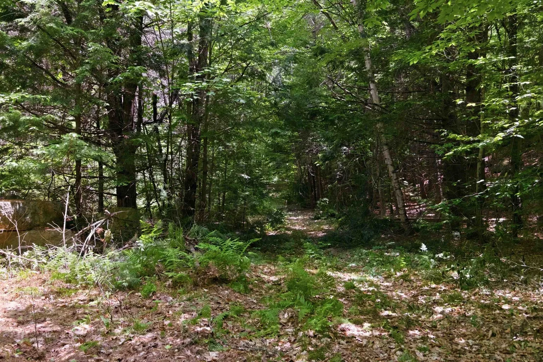 Photo of Unit MAP16LOT64 at 00 NH Route 103 West