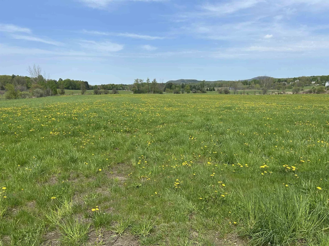 Photo of Lot 2 Plains